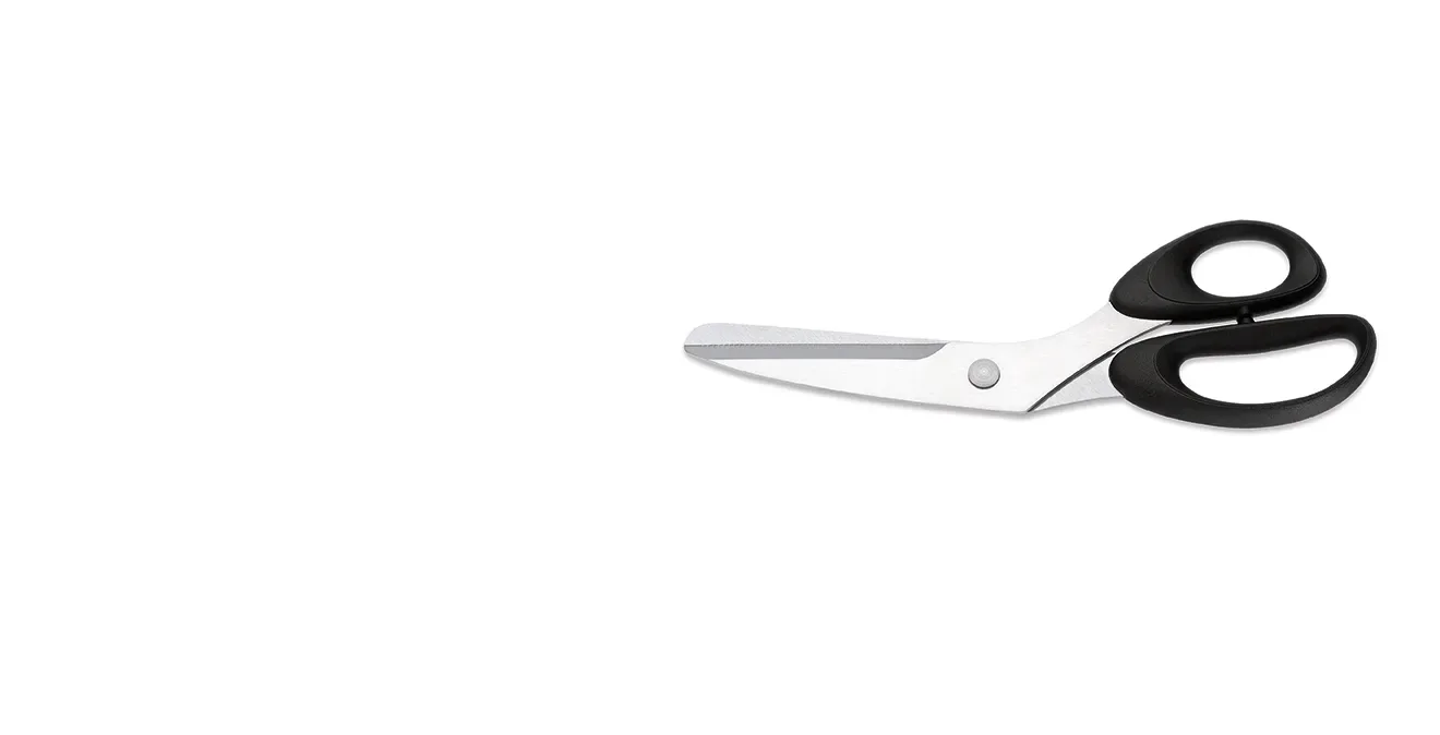 Giesser Giesser Fischschere 10 cm Edelstahl-schwarz