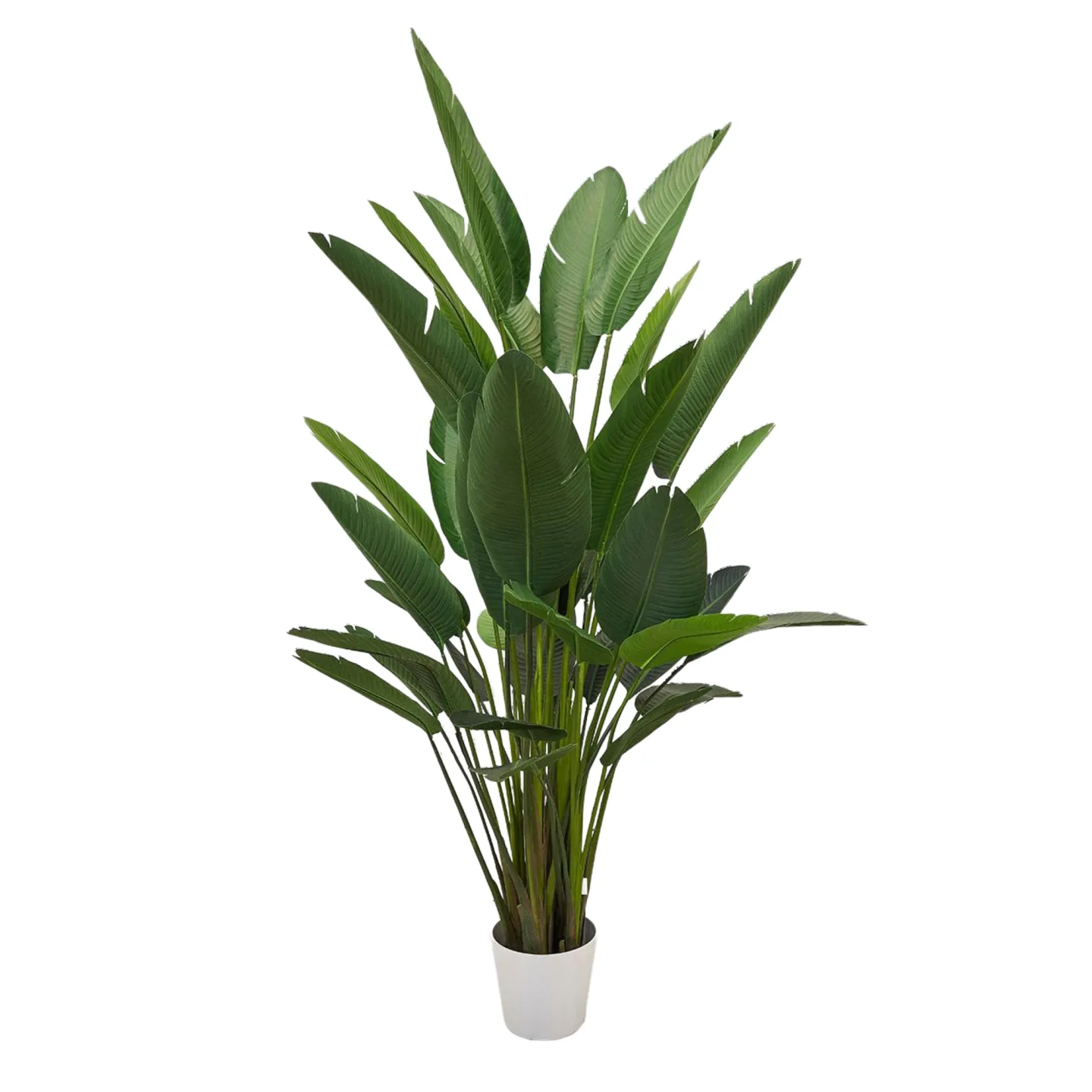 Edg Kunstpflanze Strelitzie H: 245 cm | Schubiger Möbel