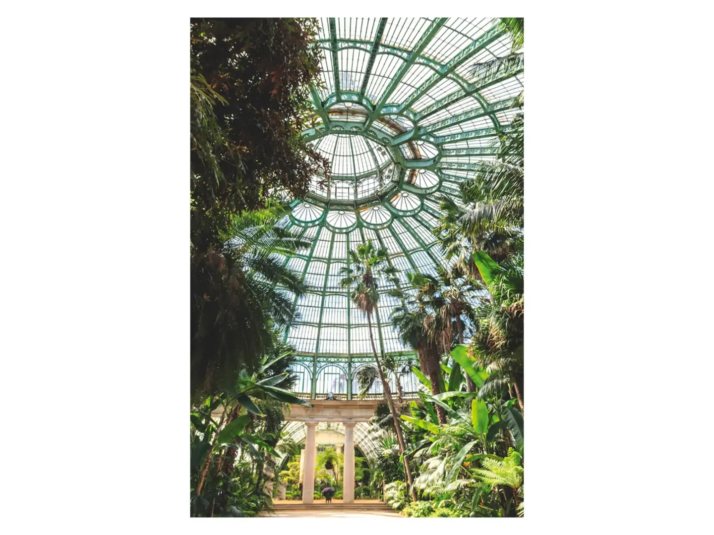 image LAND Digitaldruck auf Acrylglas Königliches Gewächshaus | Schubiger Möbel