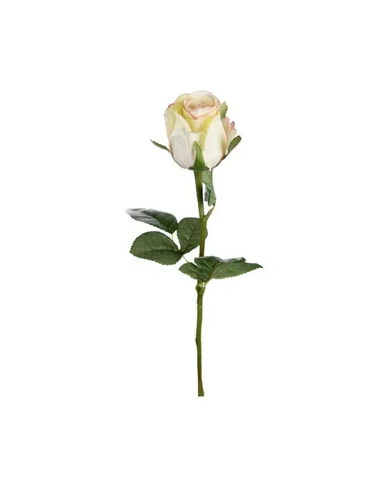 Rose Cut Flower Yellow