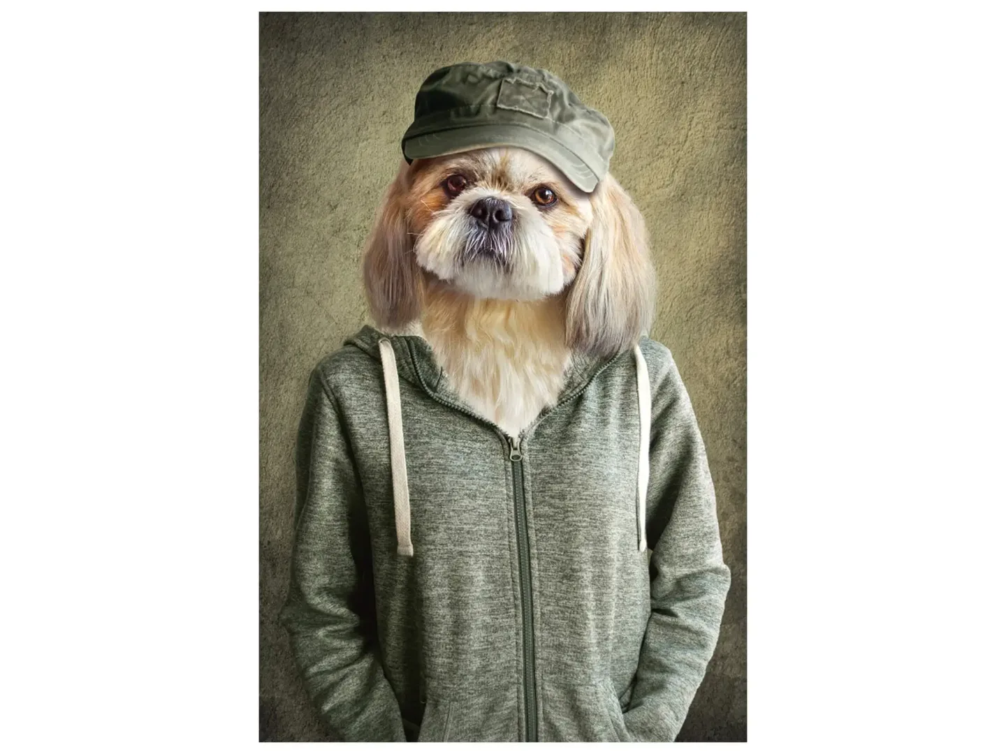 image LAND Digitaldruck auf Glas Witziger Hund mit Jacke | Schubiger Möbel