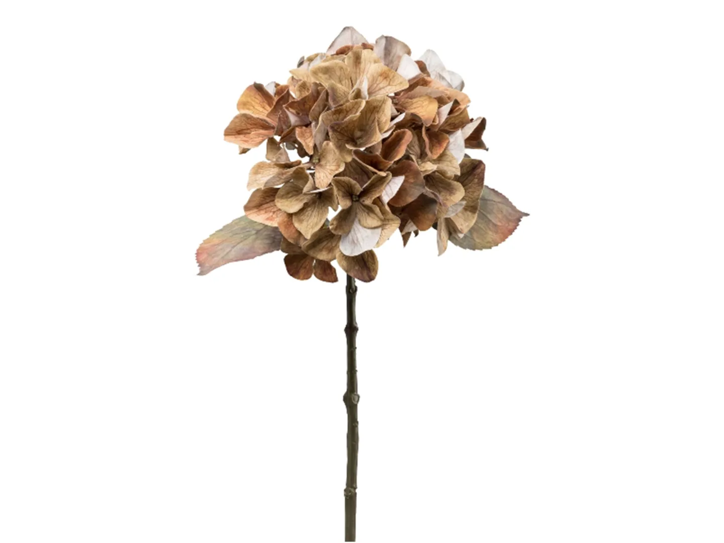 Gasper Kunstblume Hortensie Braun H: 48 cm | Schubiger Möbel