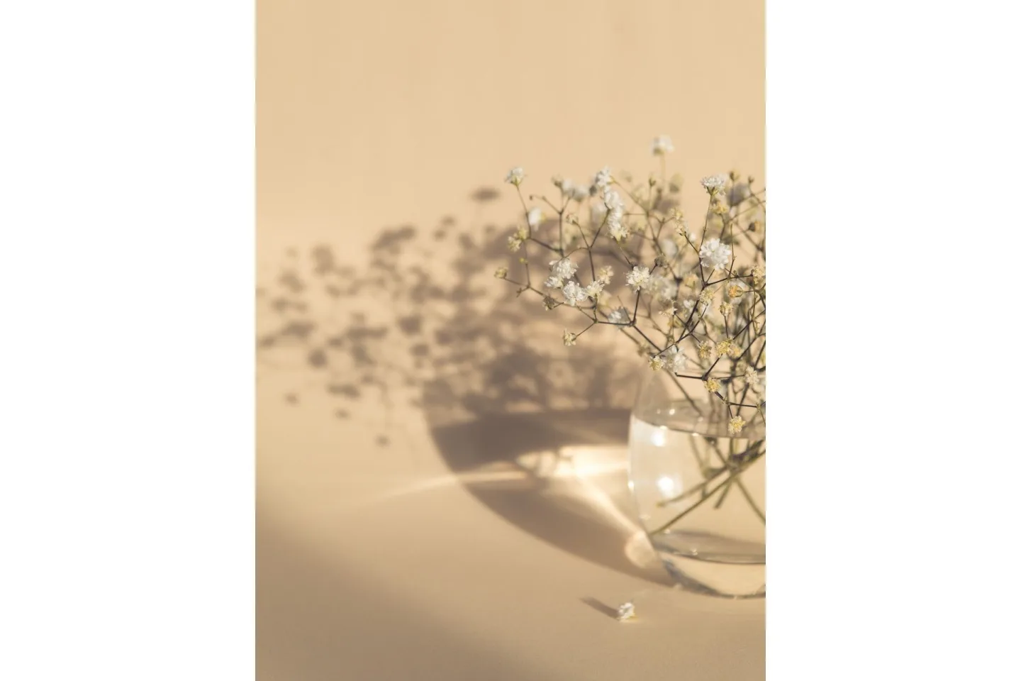 Poster White Flowers 21x30 cm - Beige