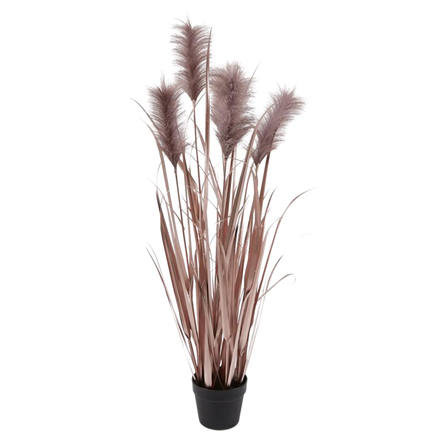 Edg Kunstpflanzen Pampasgrass Lilia H: 115 cm | Schubiger Möbel