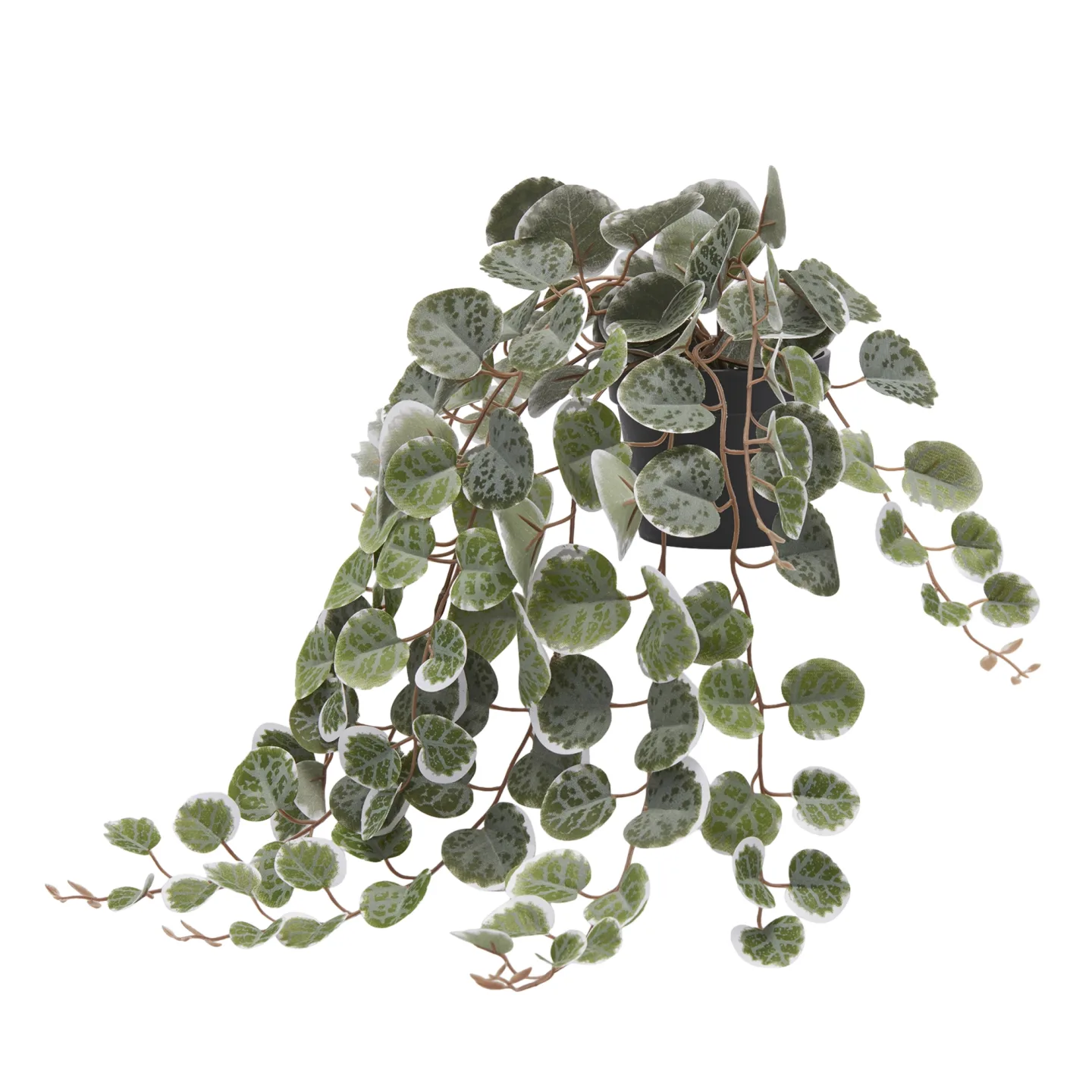 Edg Kunstblume Seidenpflanze Grün H: 40 cm | Schubiger Möbel