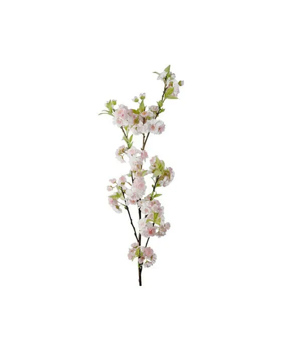 Kirsebær afskåret blomst lyserød