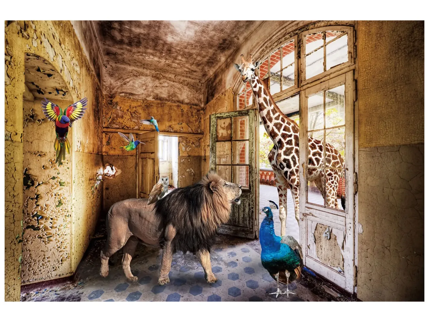 image LAND Digitaldruck auf Glas Dschungeltiere Suchen Ein Zuhause | Schubiger Möbel