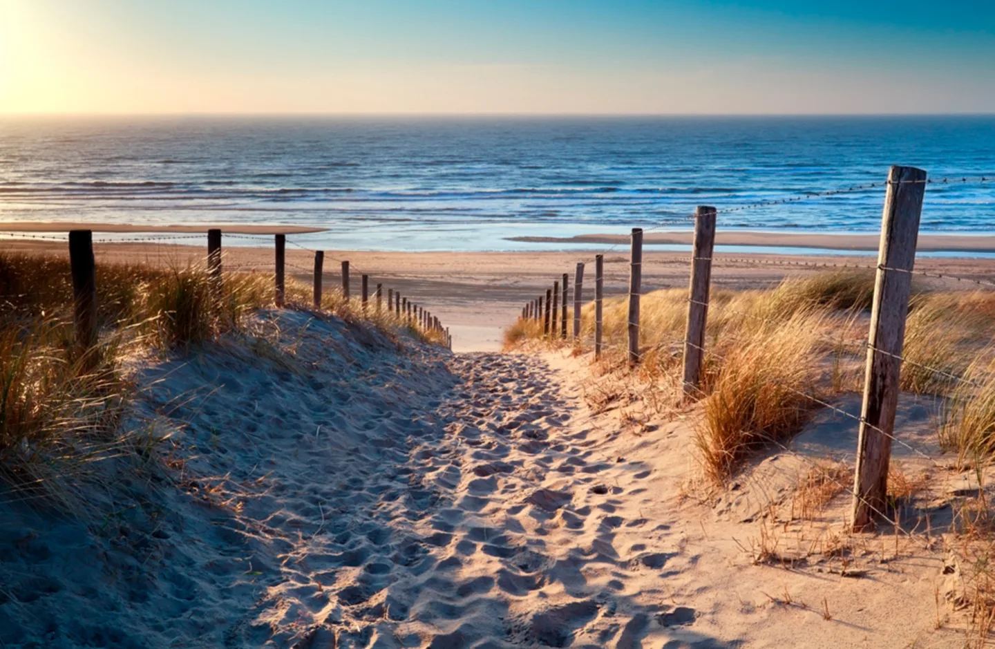 image LAND Canvas Sandweg Zum Strand | Schubiger Möbel