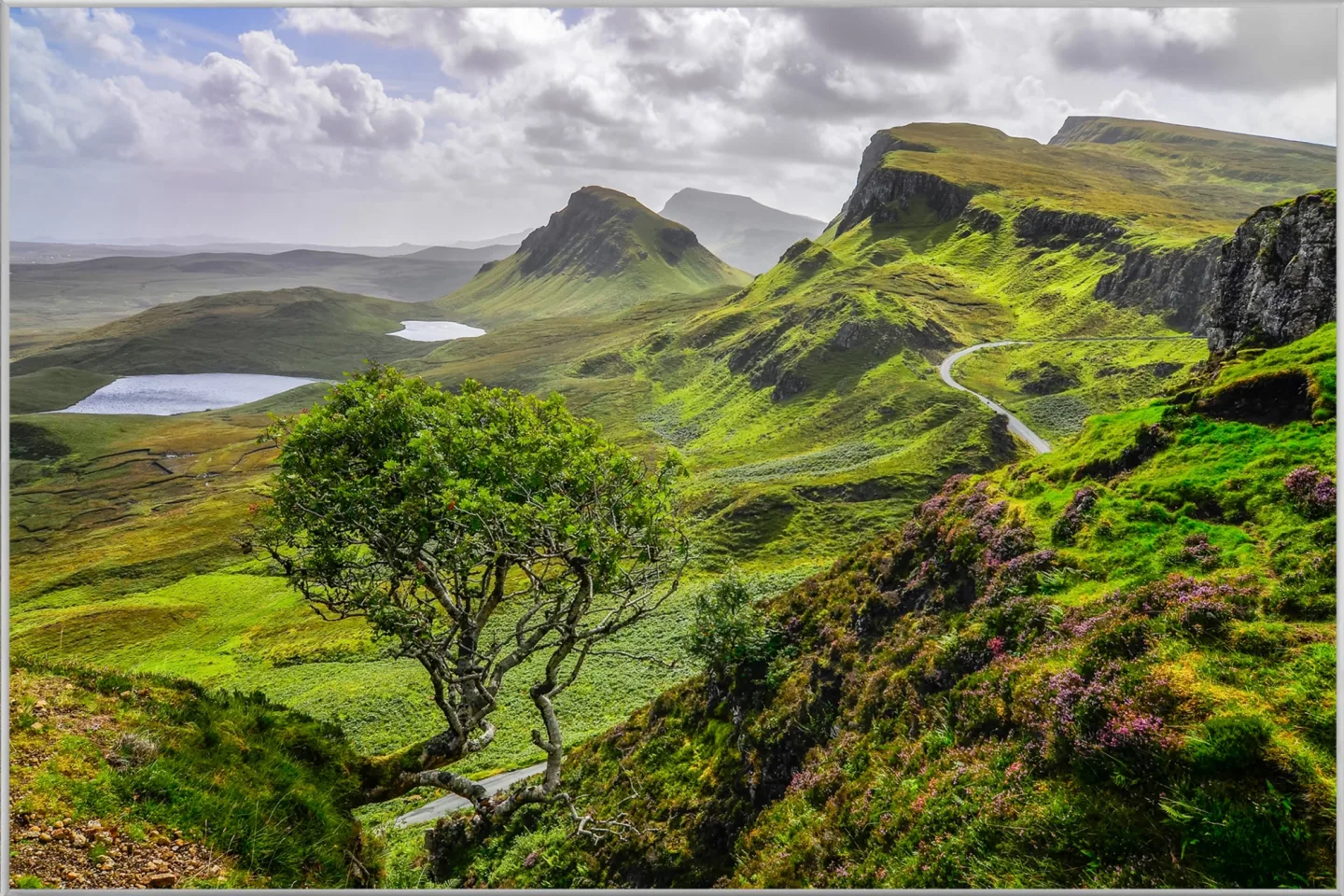 image LAND Bild mit Rahmen Hügelige Landschaft | Schubiger Möbel