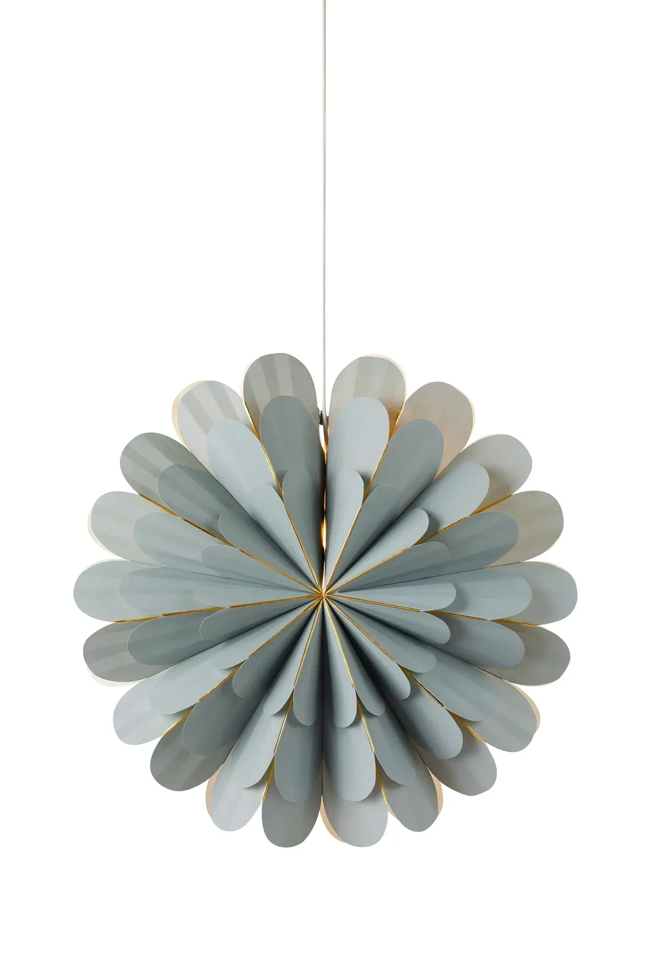 Marigold Stern Grau 60 cm