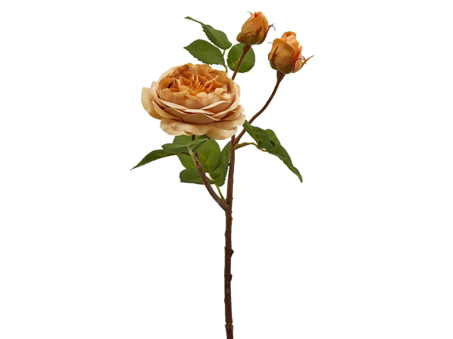 Edg Kunstblume Rose Ocker H: 48 cm | Schubiger Möbel