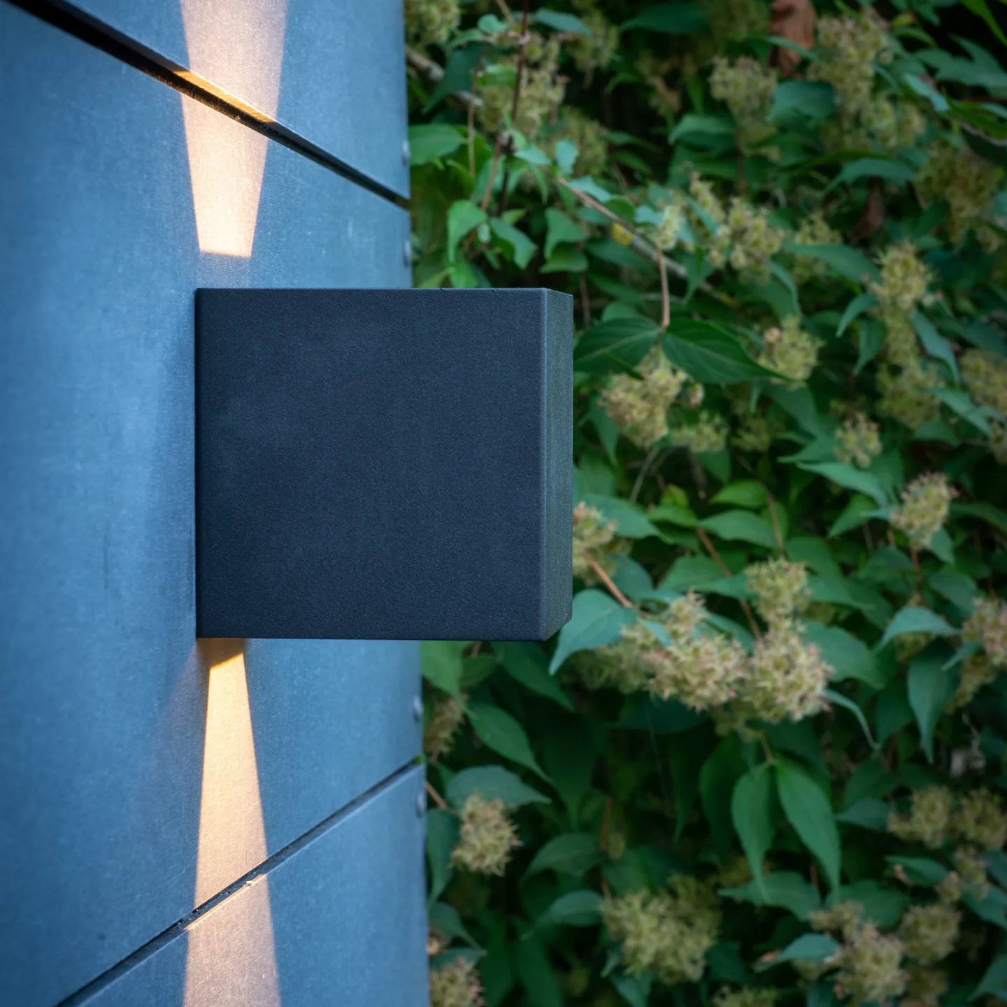 Venus Utomhus Vägglampa Svart - Dyberg Larsen - Modern - Metall - Vinklad