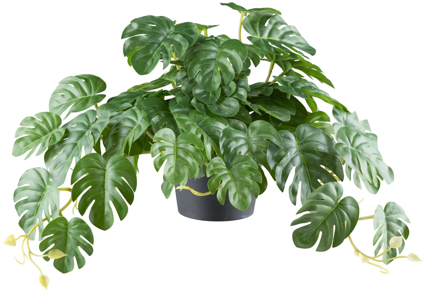 Gasper Kunstpflanze Splitphilodendron Hänger, Grün | Schubiger Möbel
