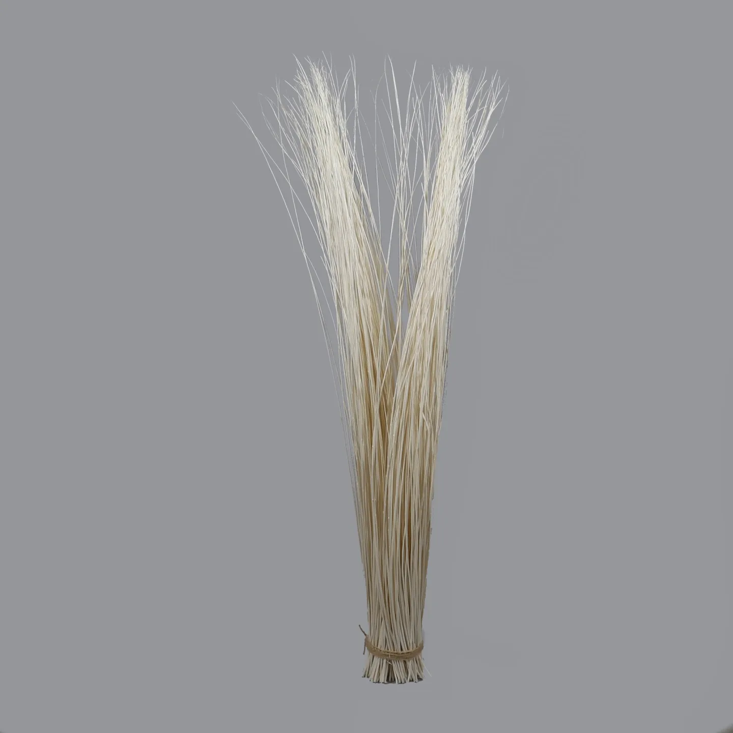 Decofinder Kunstblume Willow-Bund, Gebleicht | Schubiger Möbel