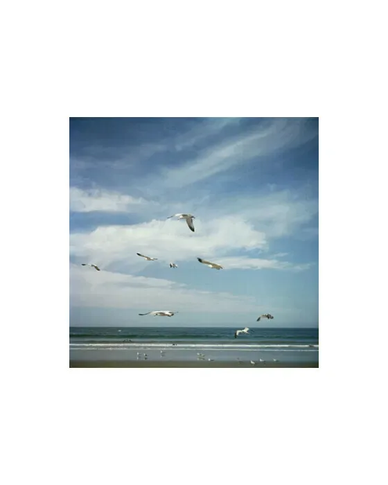 San Diego Gulls