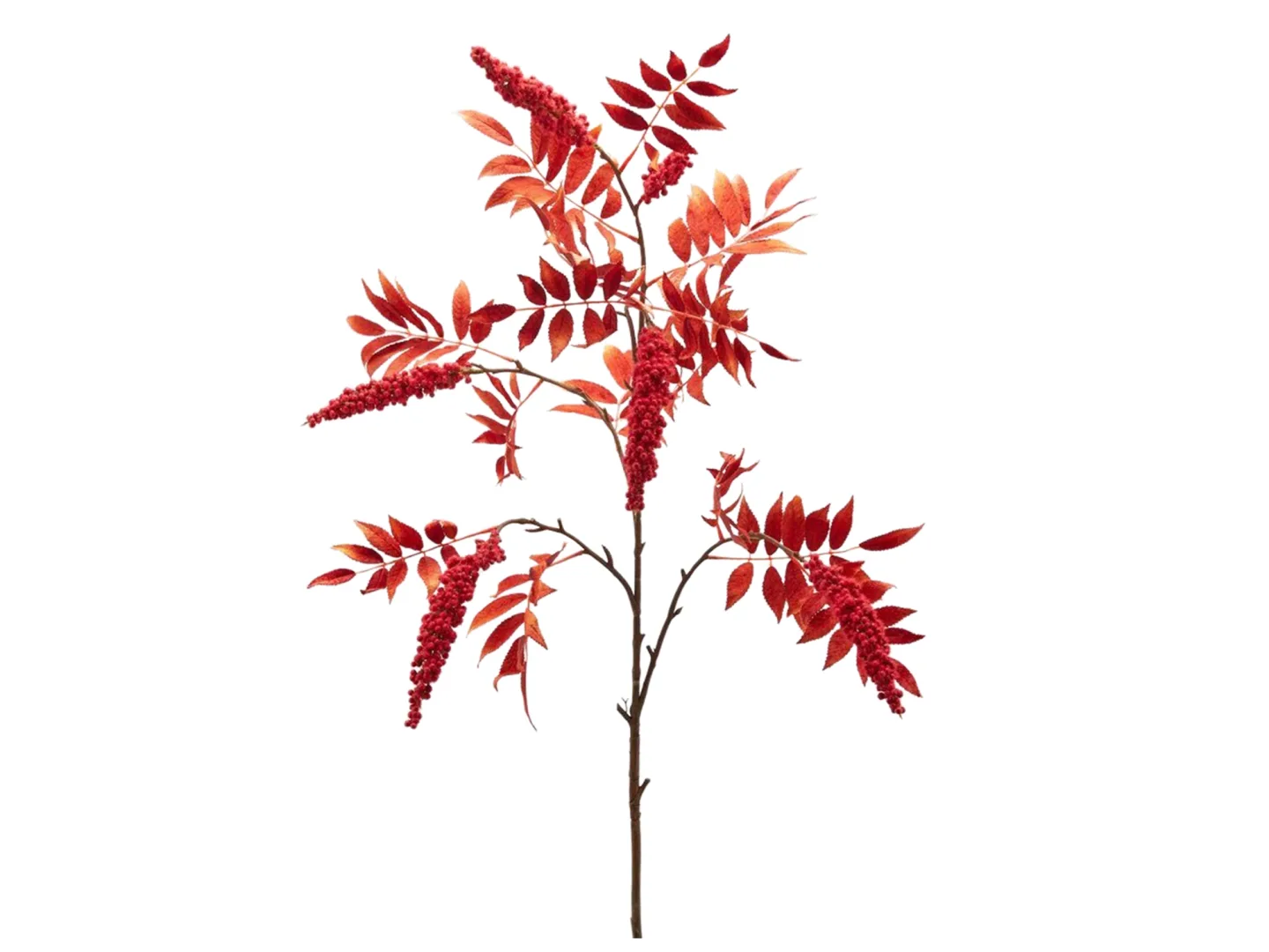 Edg Kunstblumen Hirschkolben Rot H: 24 cm | Schubiger Möbel