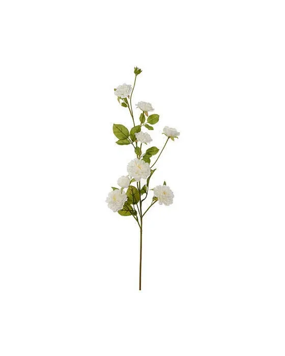 Klätterros snittblomma vit