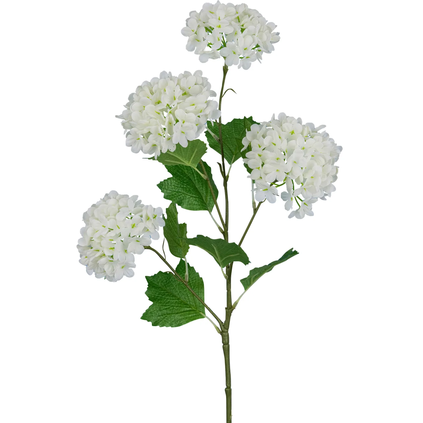 Gasper Kunstblume Schneeballzweig, Weiss | Schubiger Möbel