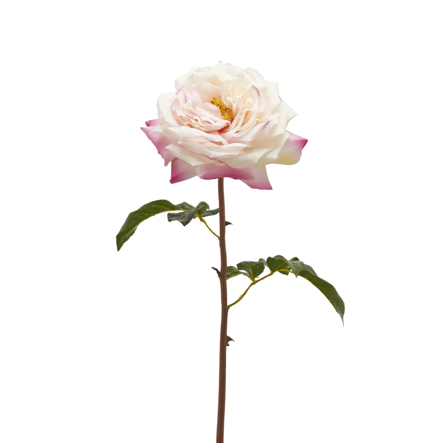 Edg Kunstblume Rose Hellrosa H: 50 cm | Schubiger Möbel