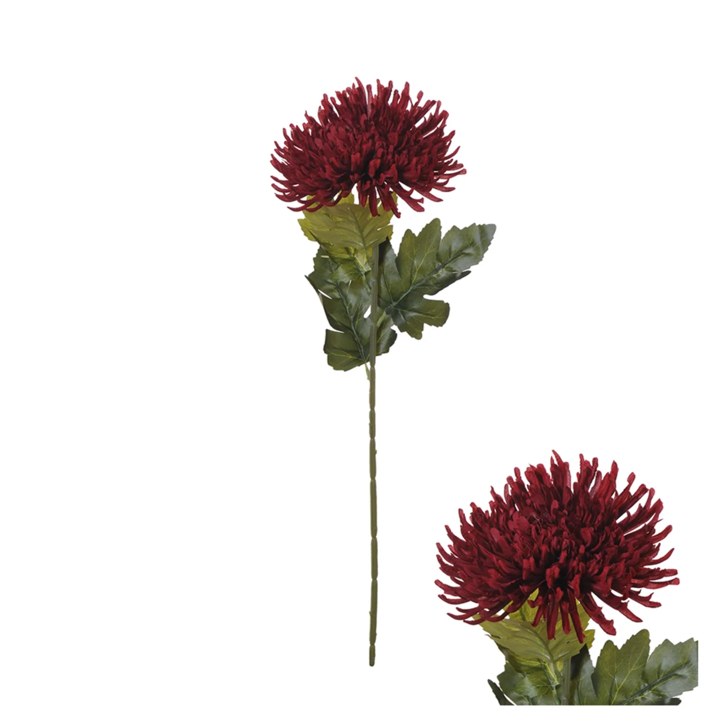 Decofinder Kunstblume Aster, Burgunder | Schubiger Möbel