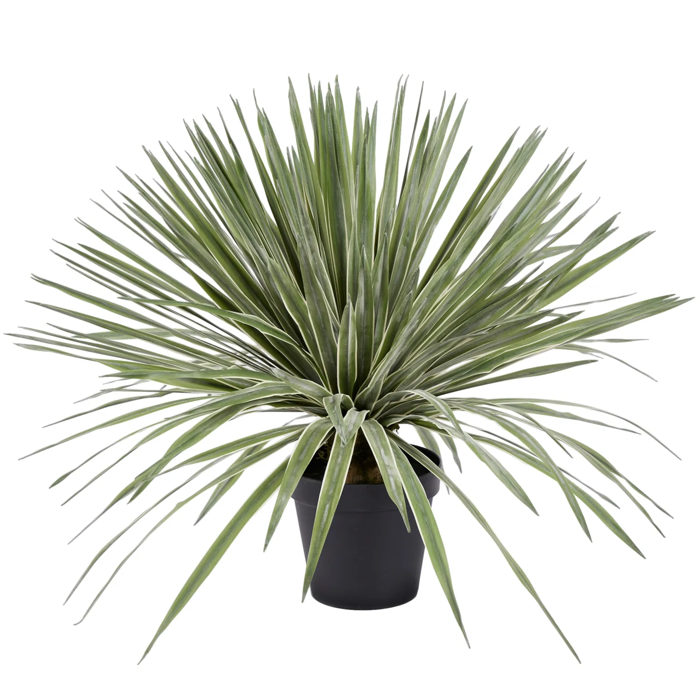 Edg Kunstpflanze Agave im Topf H: 80 cm | Schubiger Möbel