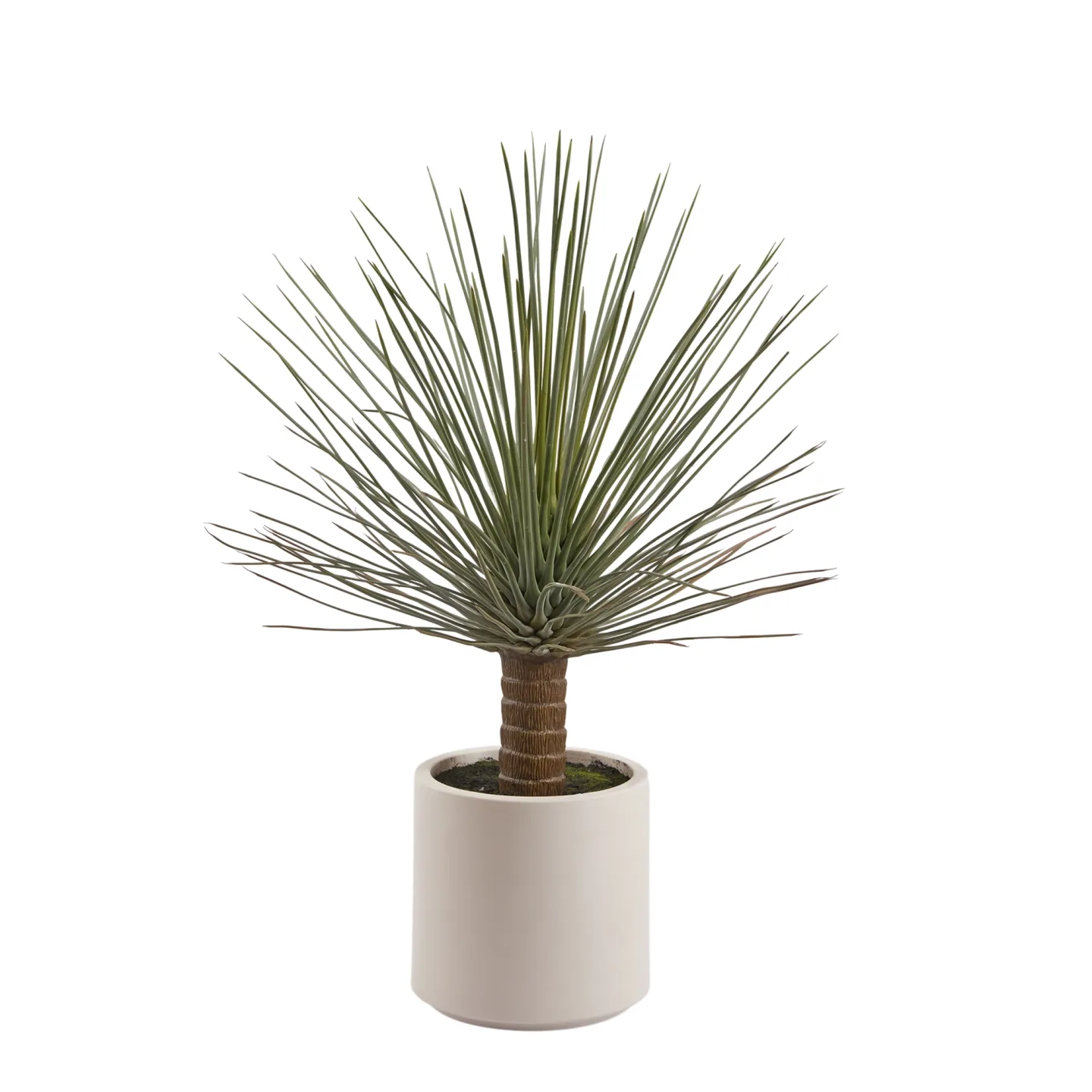 Edg Kunstpflanze Yucca H: 99 cm | Schubiger Möbel