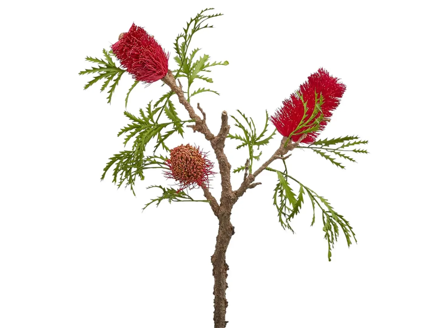 Edg Protea Banksia Purple H: 84 cm | Schubiger Möbel