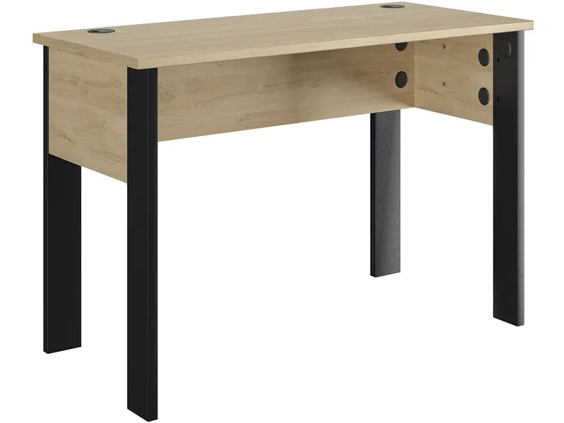 Schreibtisch GAMI OFFICEO 60x120x74cm eiche