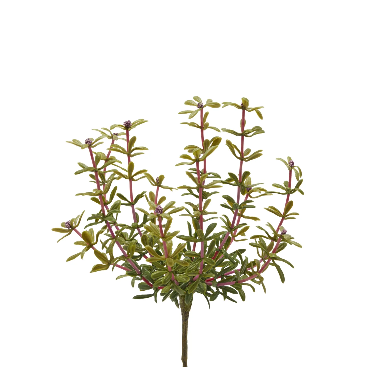 Edg Kunstblume Portulak Fuchsia H: 27 cm | Schubiger Möbel