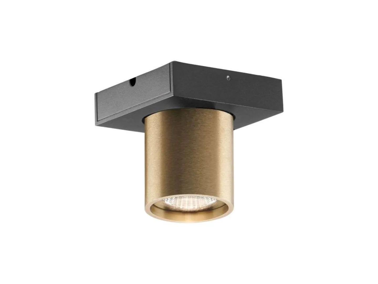 Focus 1 LED Deckenleuchte 3000K Brass - LIGHT-POINT - Wohnzimmer - Aluminium