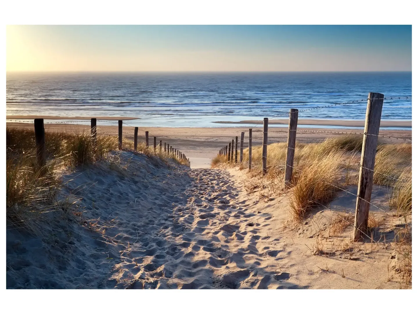 image LAND Digitaldruck auf Glas Sandweg Zum Meer 2 | Schubiger Möbel