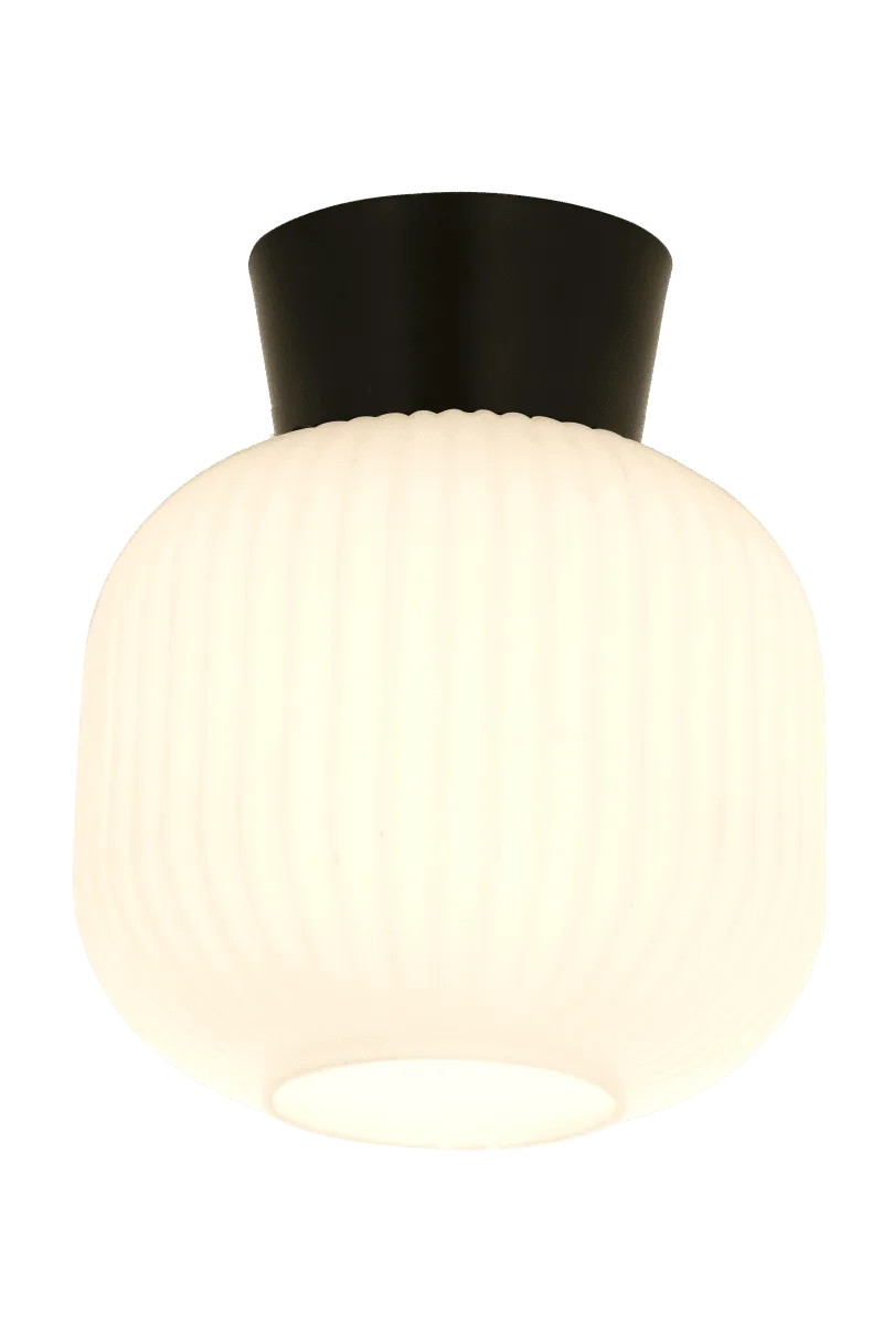 Aneta Lighting - Vanja Ø20 - Takplafond - Svart/Vit