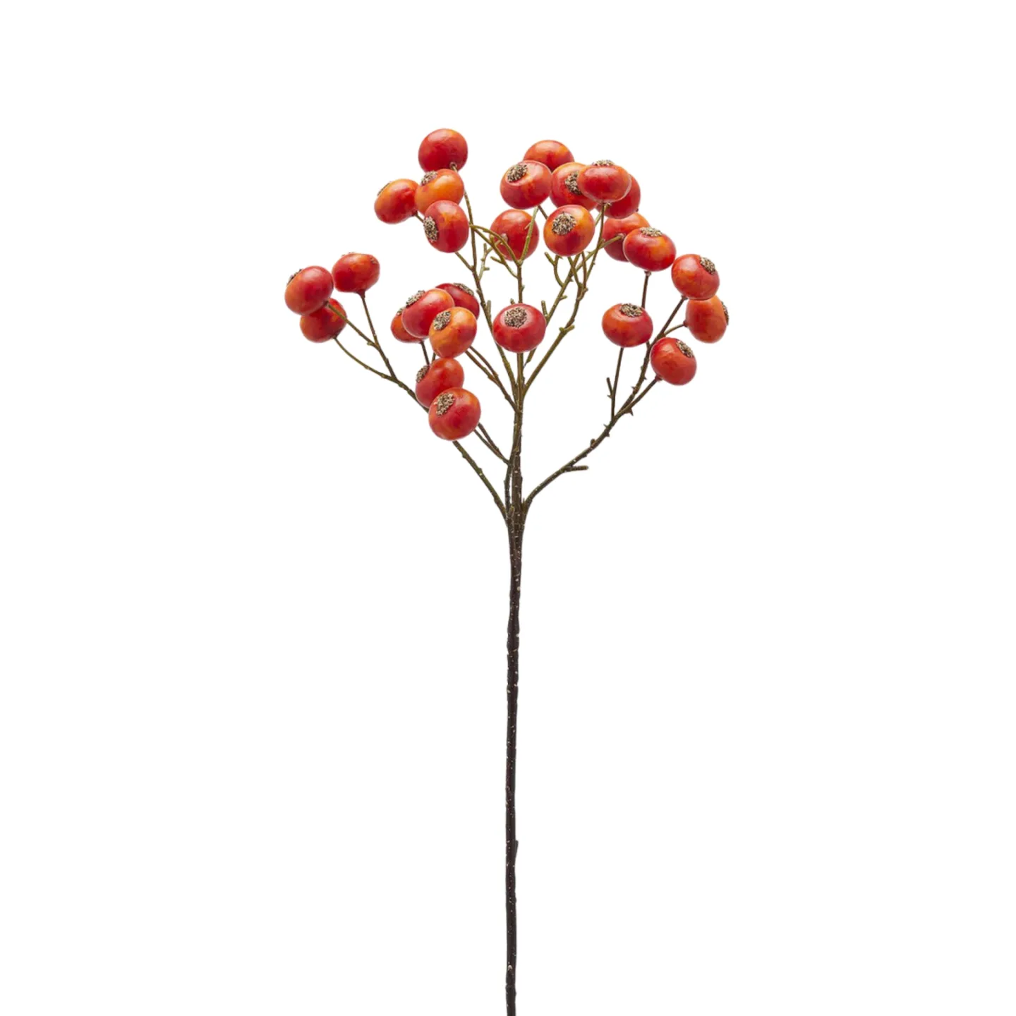 Edg Kunstblumen Beeren Dunkelorange H: 60 cm | Schubiger Möbel