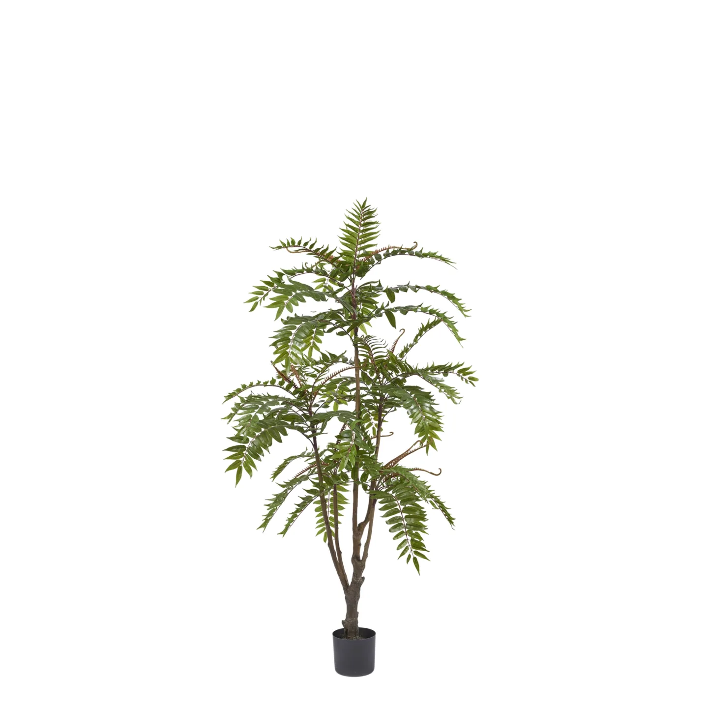 Edg Kunstpflanze Götterbaum H: 150 cm | Schubiger Möbel