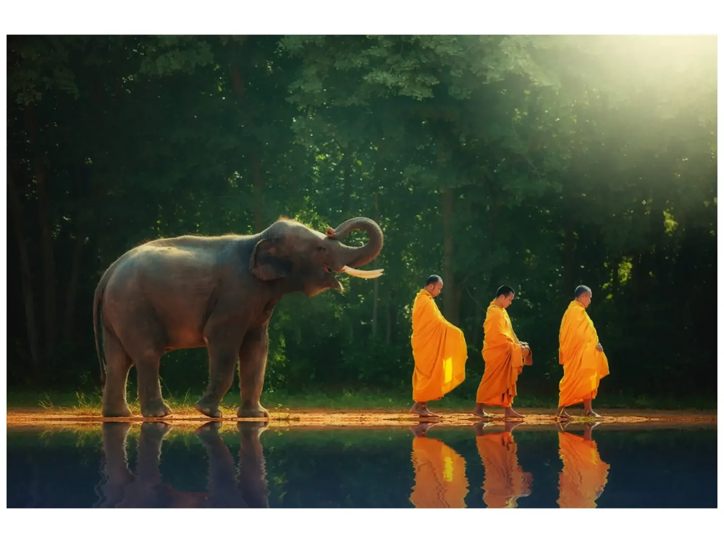 image LAND Digitaldruck auf Glas Mönchwanderung mit Elefant | Schubiger Möbel