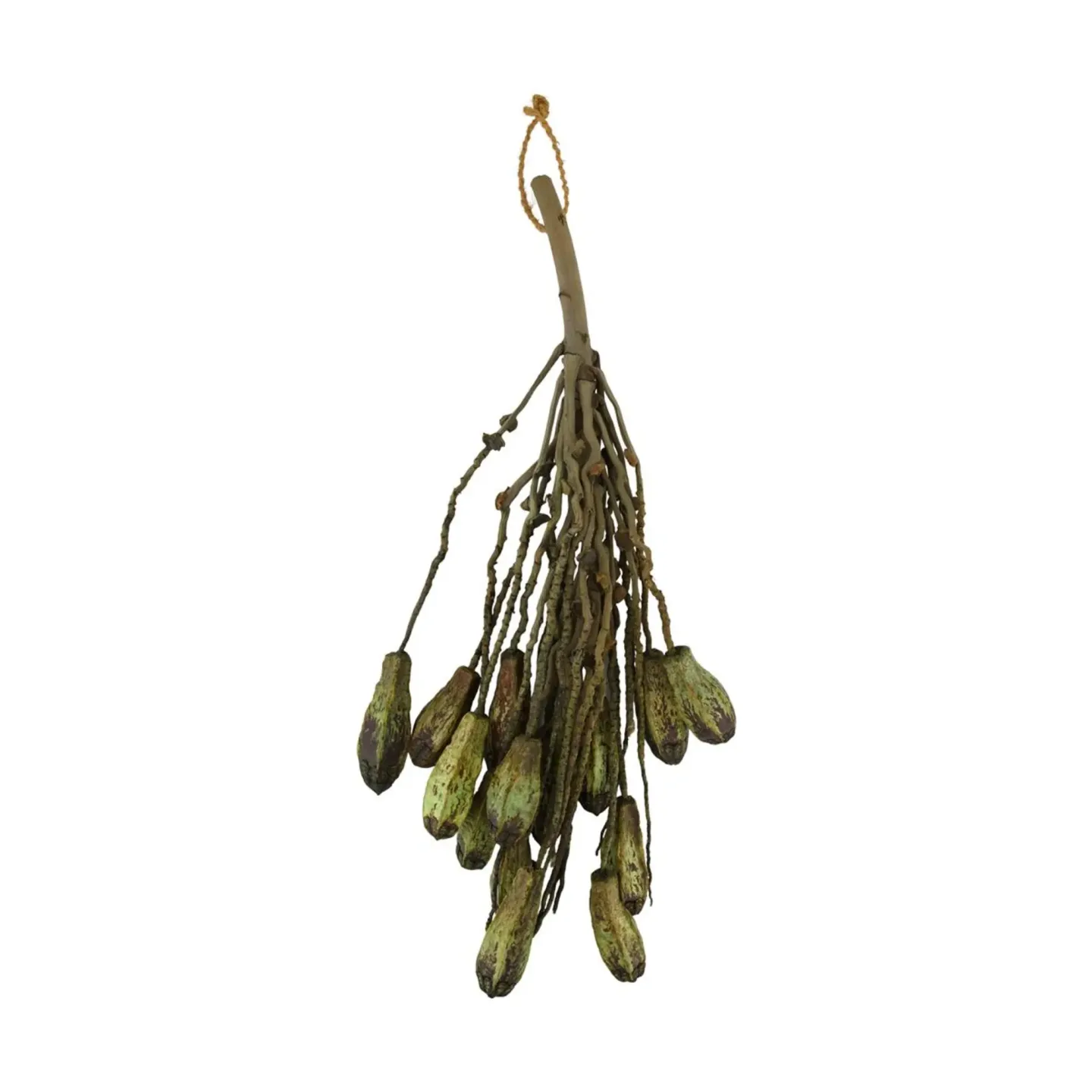 Decofinder Kunstblume Zweig mit Mahagoni Coco Grün H: 65 cm | Schubiger Möbel