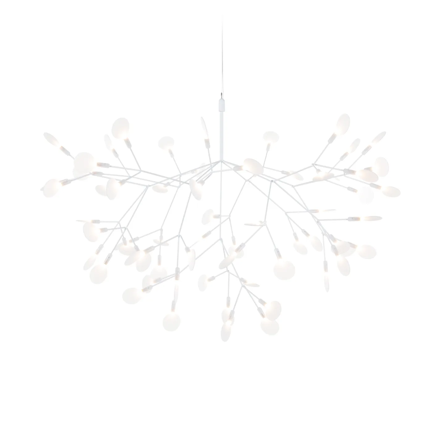 Moooi - Heracleum III, Suspended Large White - Takkronor - Bertjan Pot - Vit