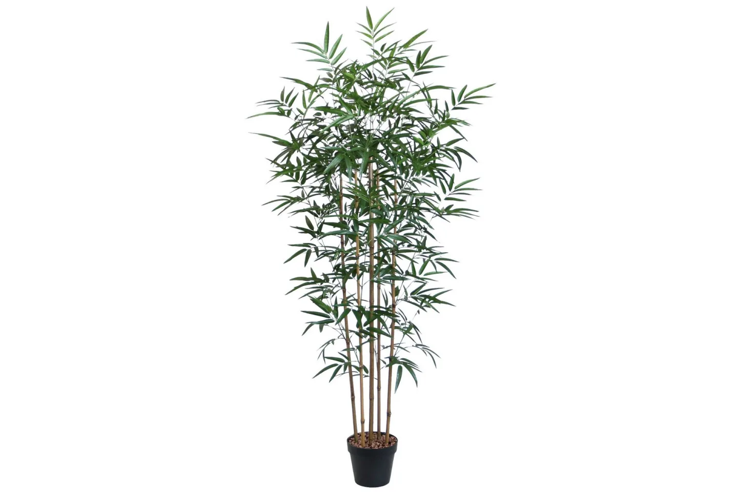 Grön växt BAMBOO H150cm 5 grenar svart kruka -