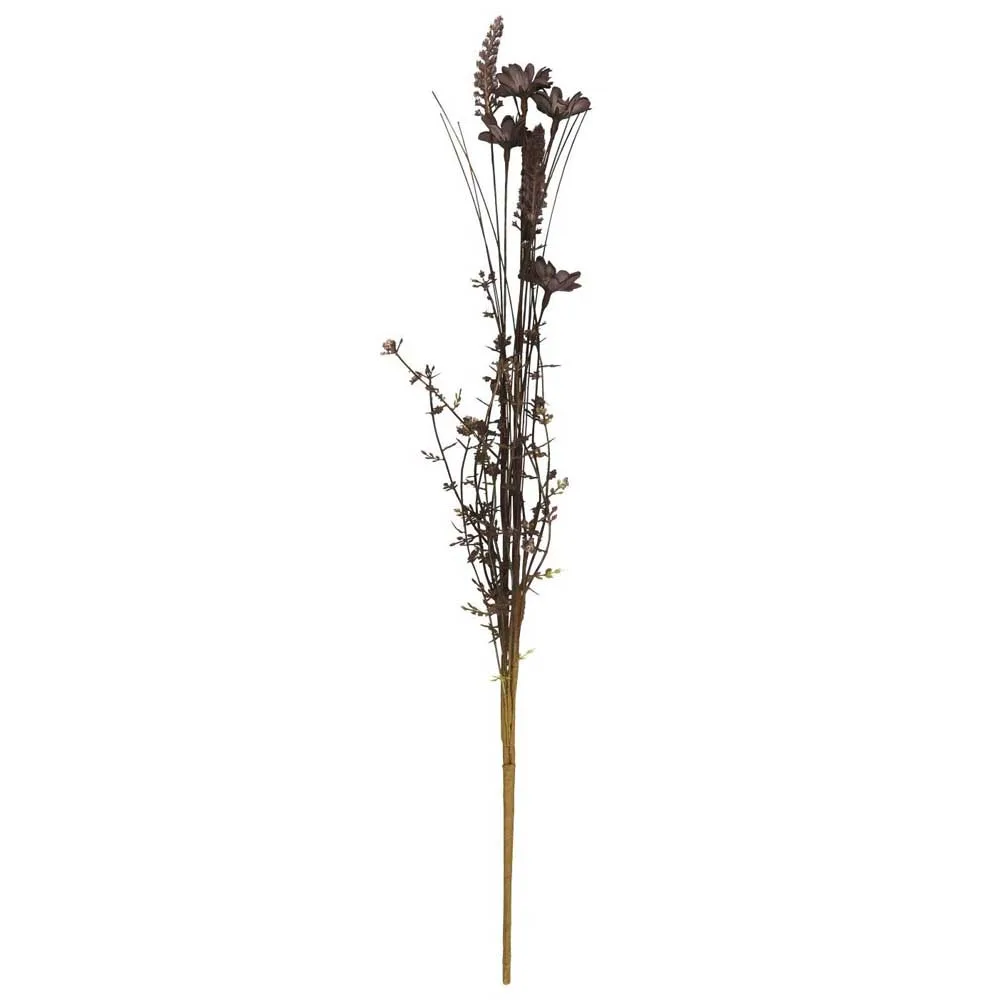 Blomkvist Nuancer Brun/Grå