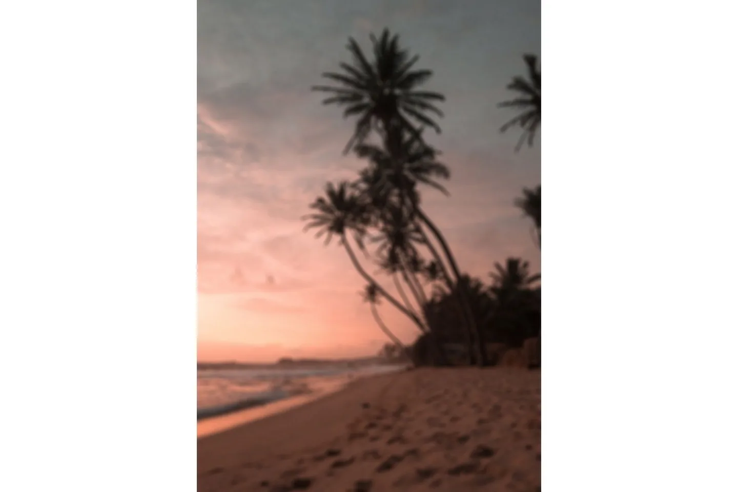Poster Summer 21x30 cm - Rosa