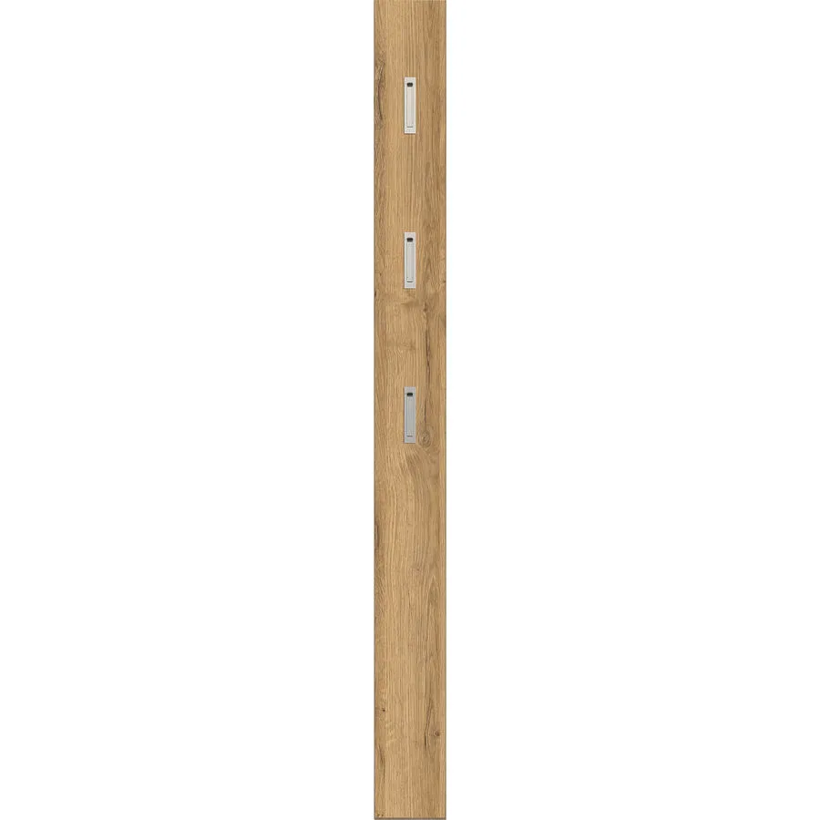 Garderobenpaneel Carlo Eiche Dekor Holzwerkstoff H 170 cm 3