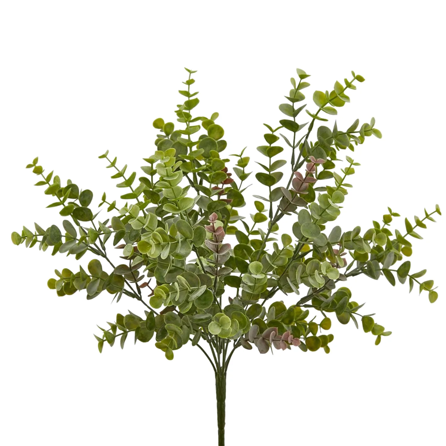 Edg Kunstblumen Eukalyptus Grün H: 44 cm Grün | Schubiger Möbel
