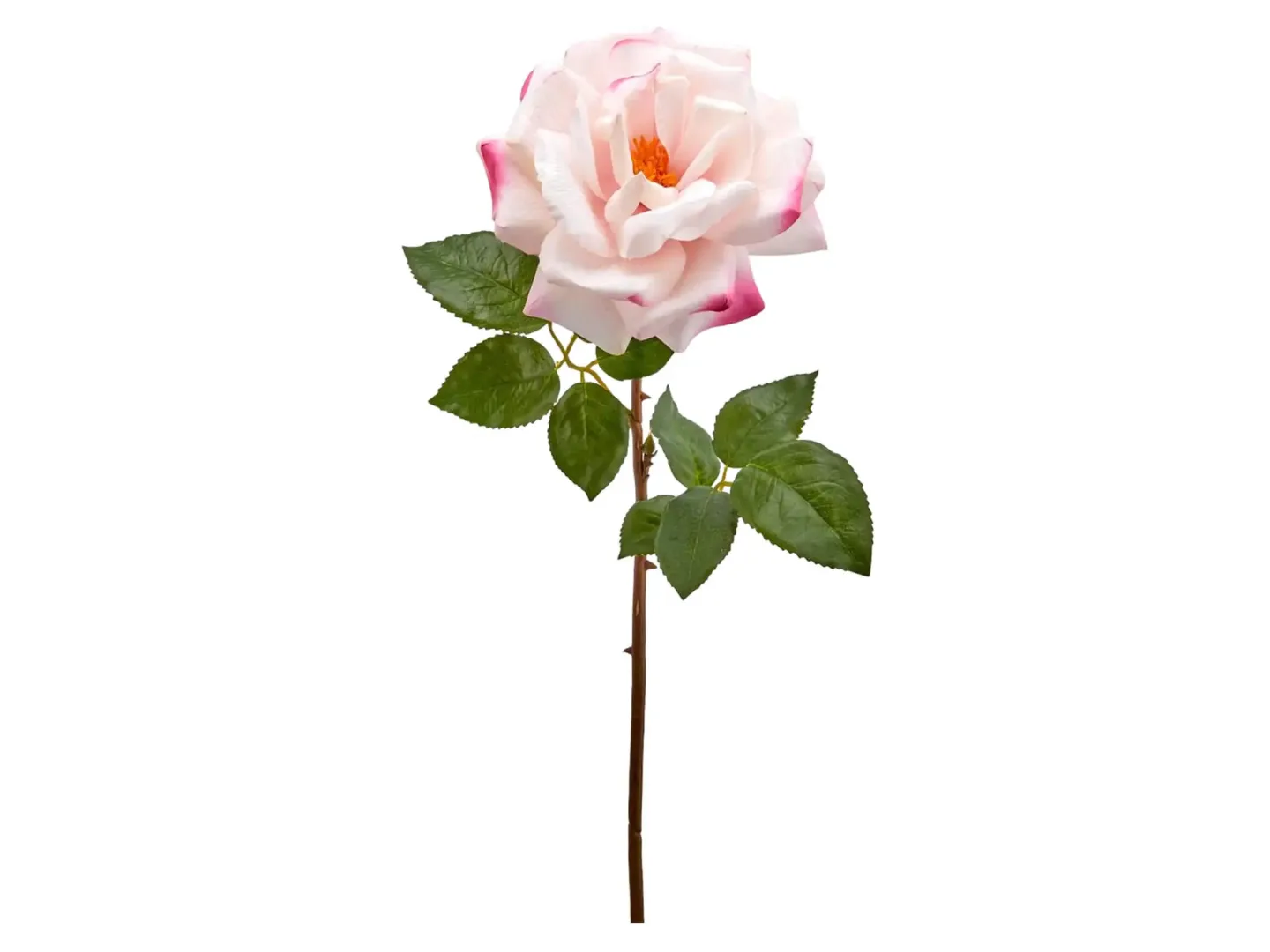 Edg Kunstblumen Rose Rosa H: 56 cm | Schubiger Möbel