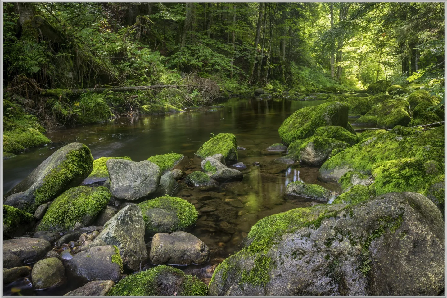 image LAND Bild mit Rahmen Flusslauf im Wald 3 | Schubiger Möbel