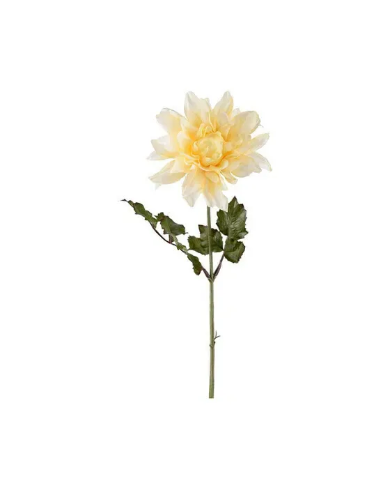 Dahlia afskåret blomst gul