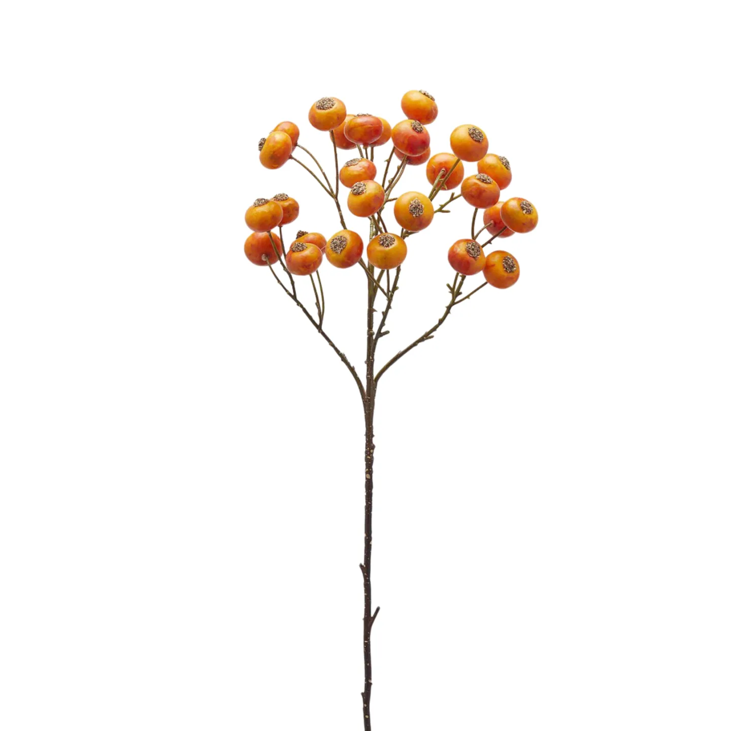 Edg Kunstblumen Beeren Orange H: 60 cm | Schubiger Möbel