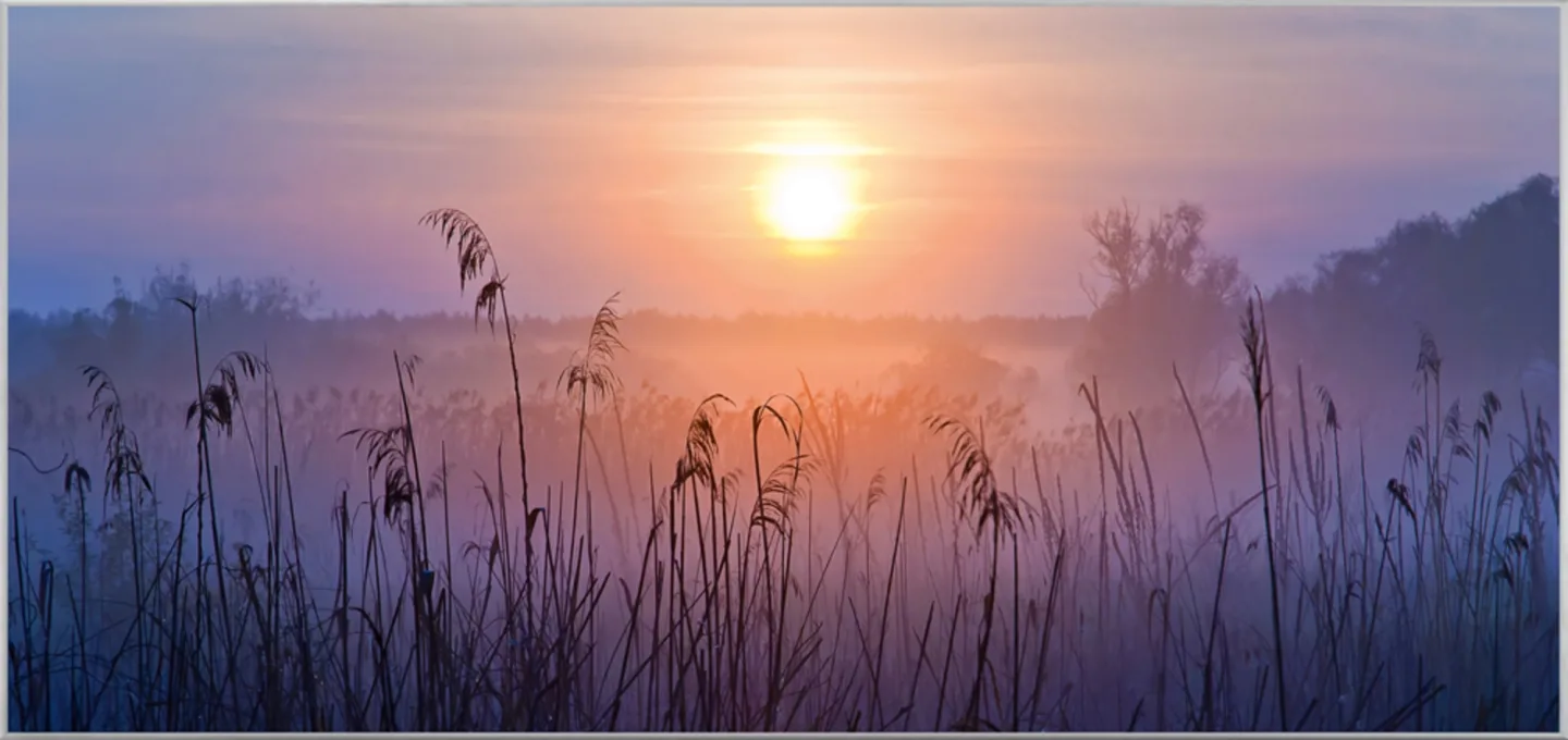 image LAND Bild mit Rahmen Sonnenaufgang im Nebel | Schubiger Möbel