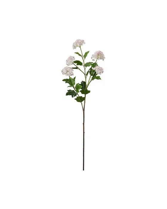 Olvon afskåret blomst hvid