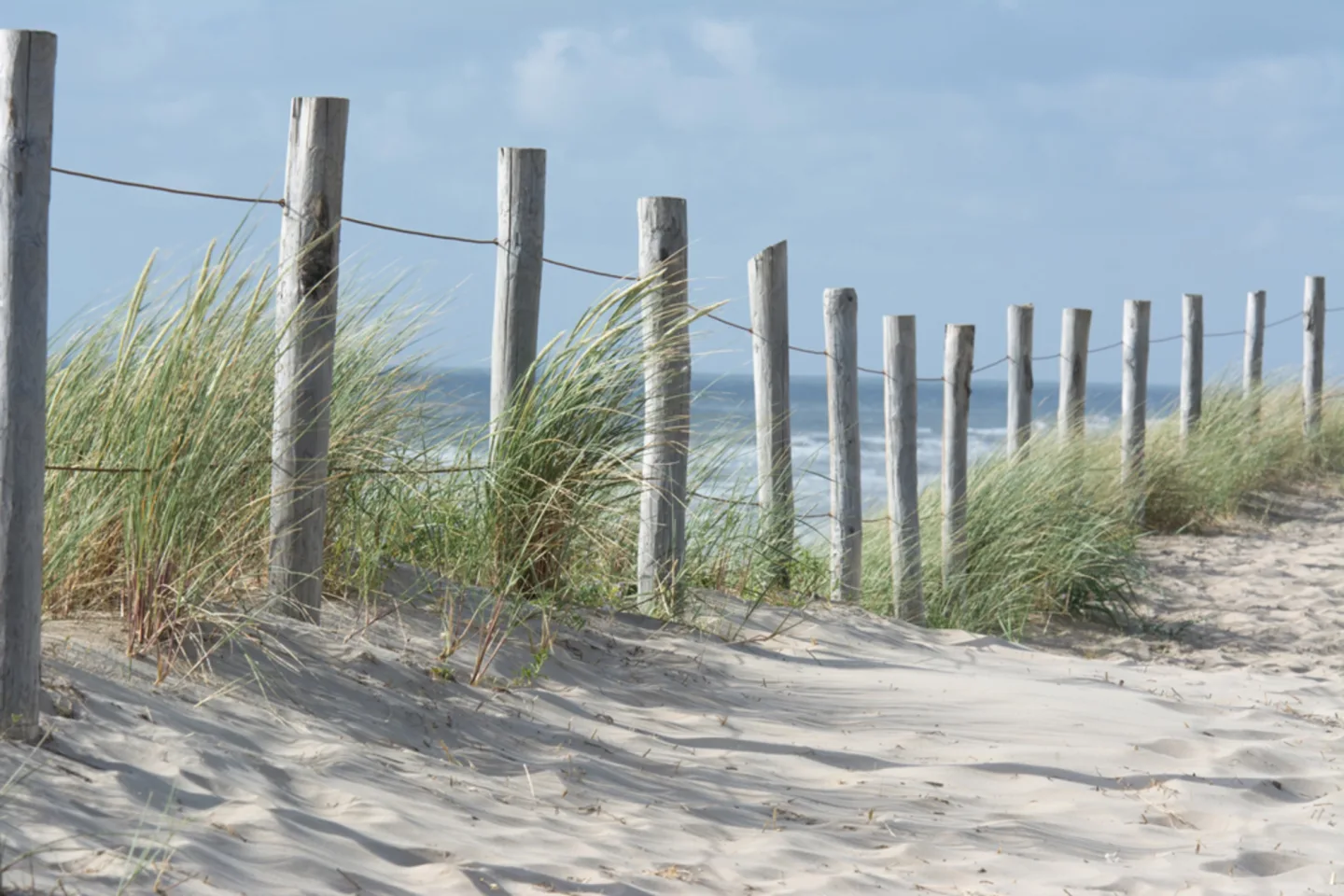image LAND Alubild Zaun in Den Dünen | Schubiger Möbel