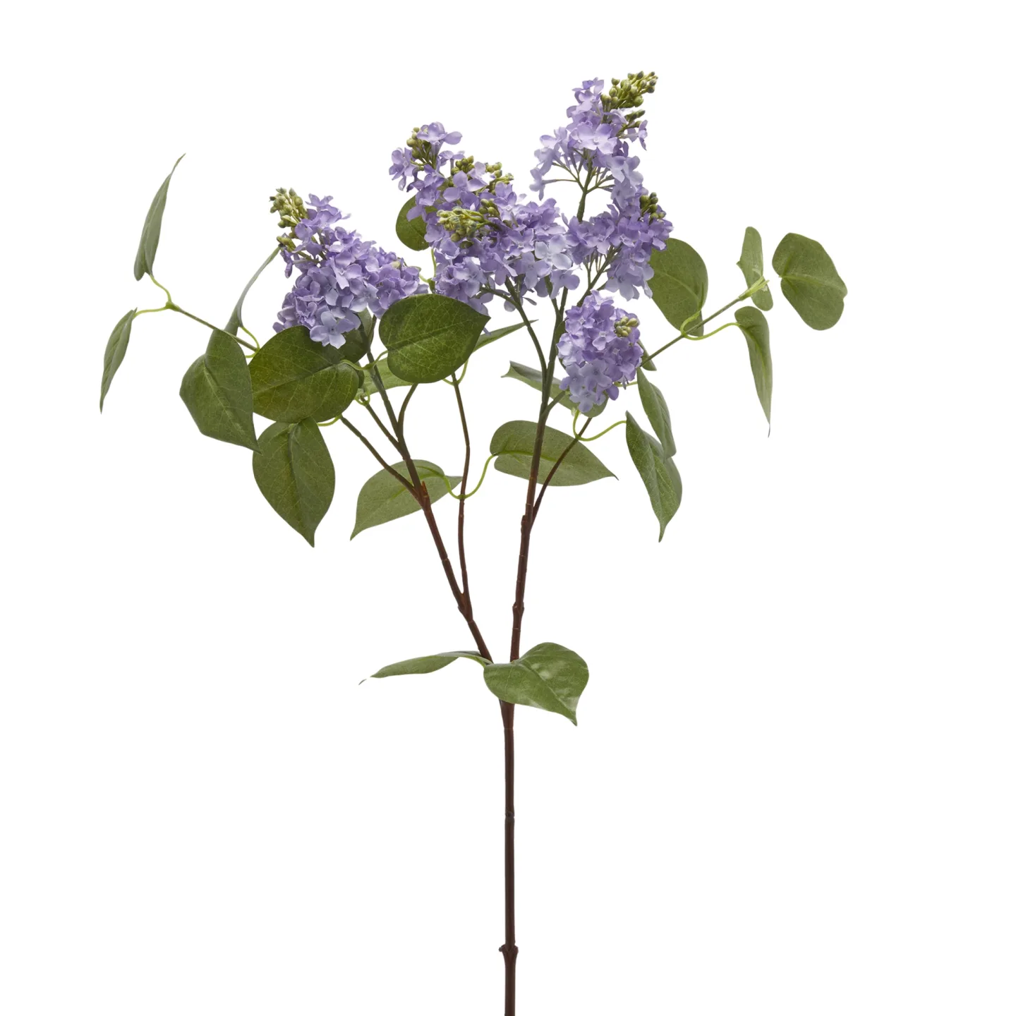 Edg Kunstblume Flieder Lila H: 66 cm | Schubiger Möbel
